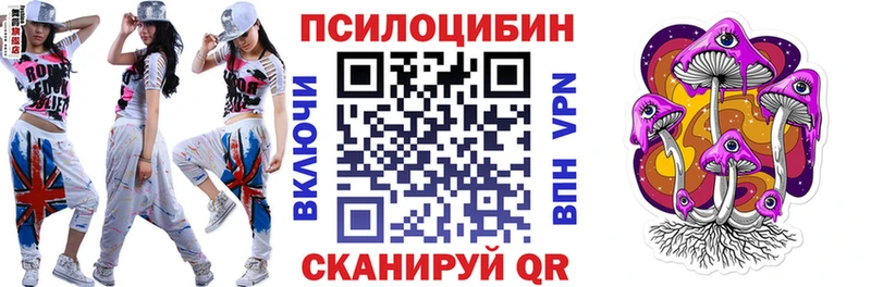 Купить закладки  Новотитаровская  Псилоцибиновые грибы Psilocybe 